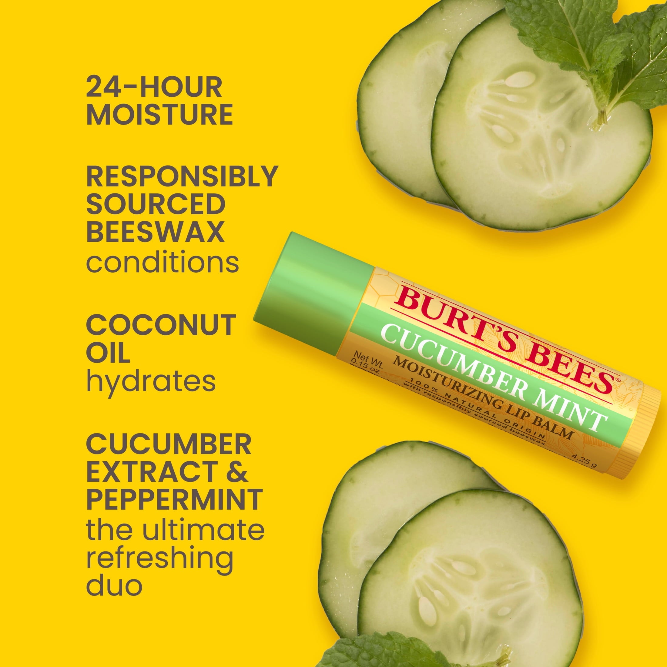 Burt's Bees Cucumber Mint Moisturizing Lip Balm, 100% Natural Origin, 6 Tubes, 0.15 oz