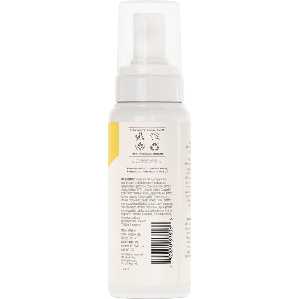 Burt's Bees Gentle Foam Cleanser, Normal to Combination Skin, 4.8 oz