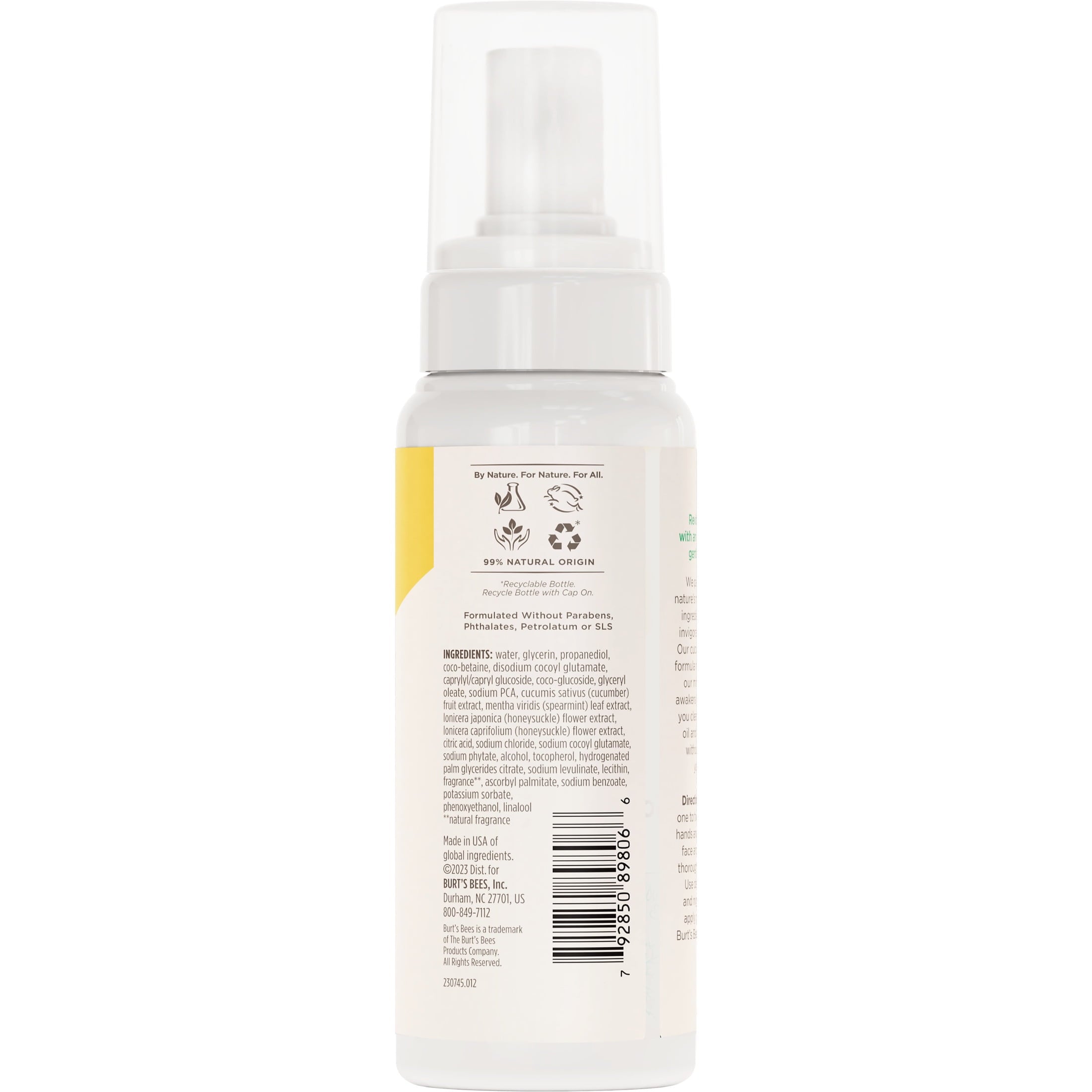 Burt's Bees Gentle Foam Cleanser, Normal to Combination Skin, 4.8 oz