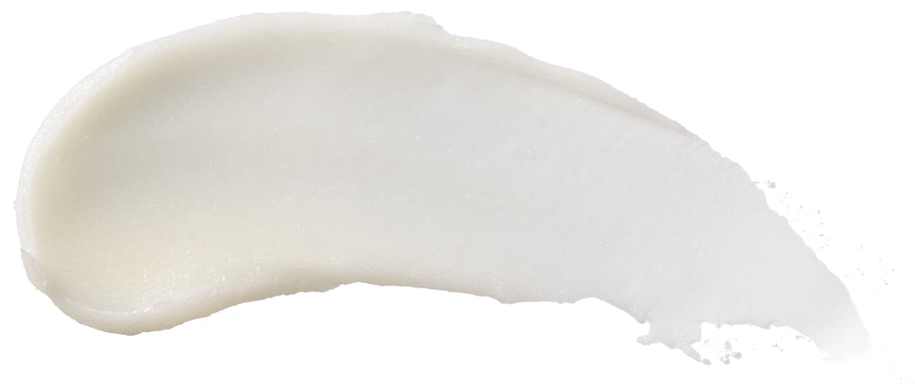 Burt's Bees 100% Natural Moisturizing Lip Balm, Honey with Beeswax - 1 Tube