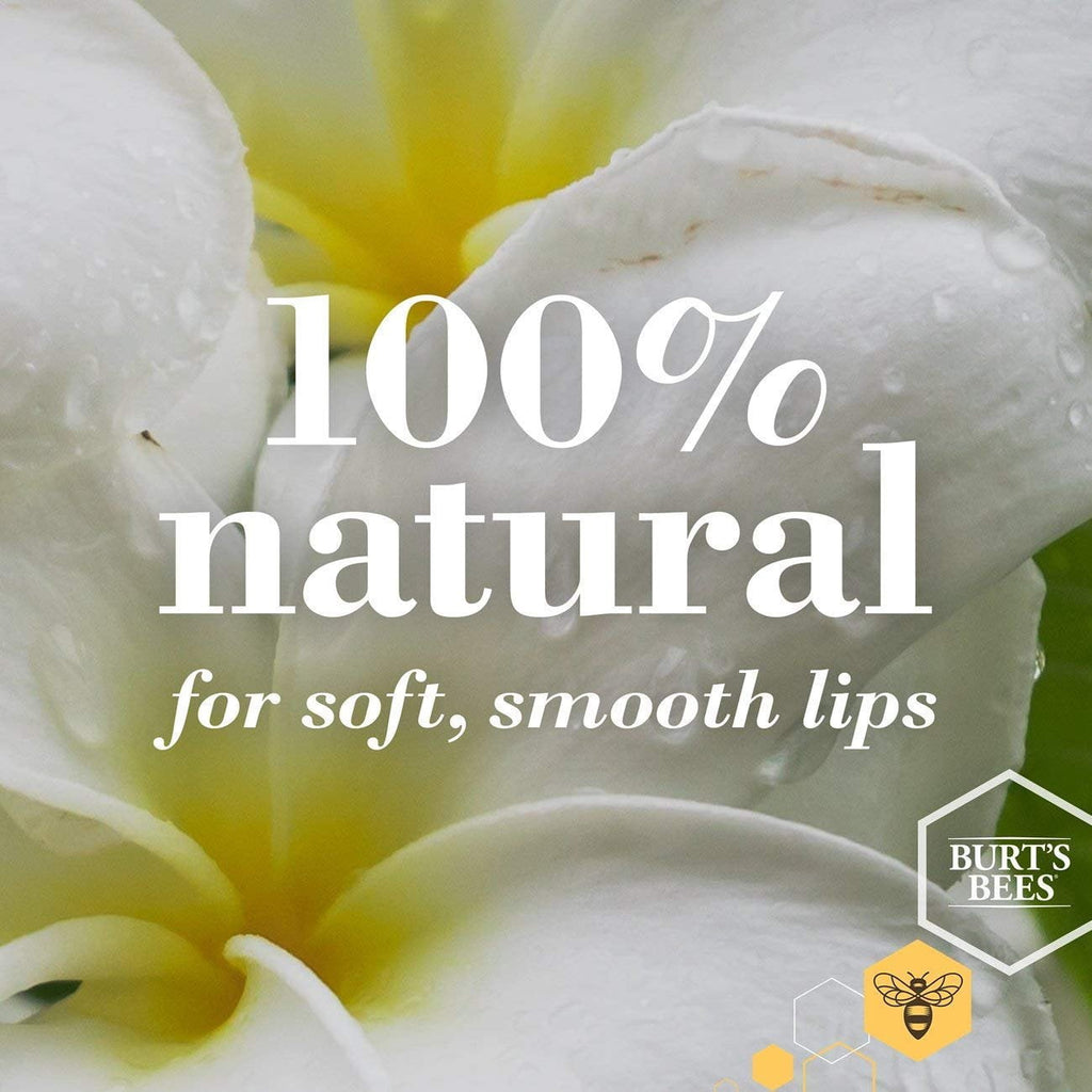 Burt's Bees - Moisturizing Lip Balm Pack Strawberry - 2 Tubes