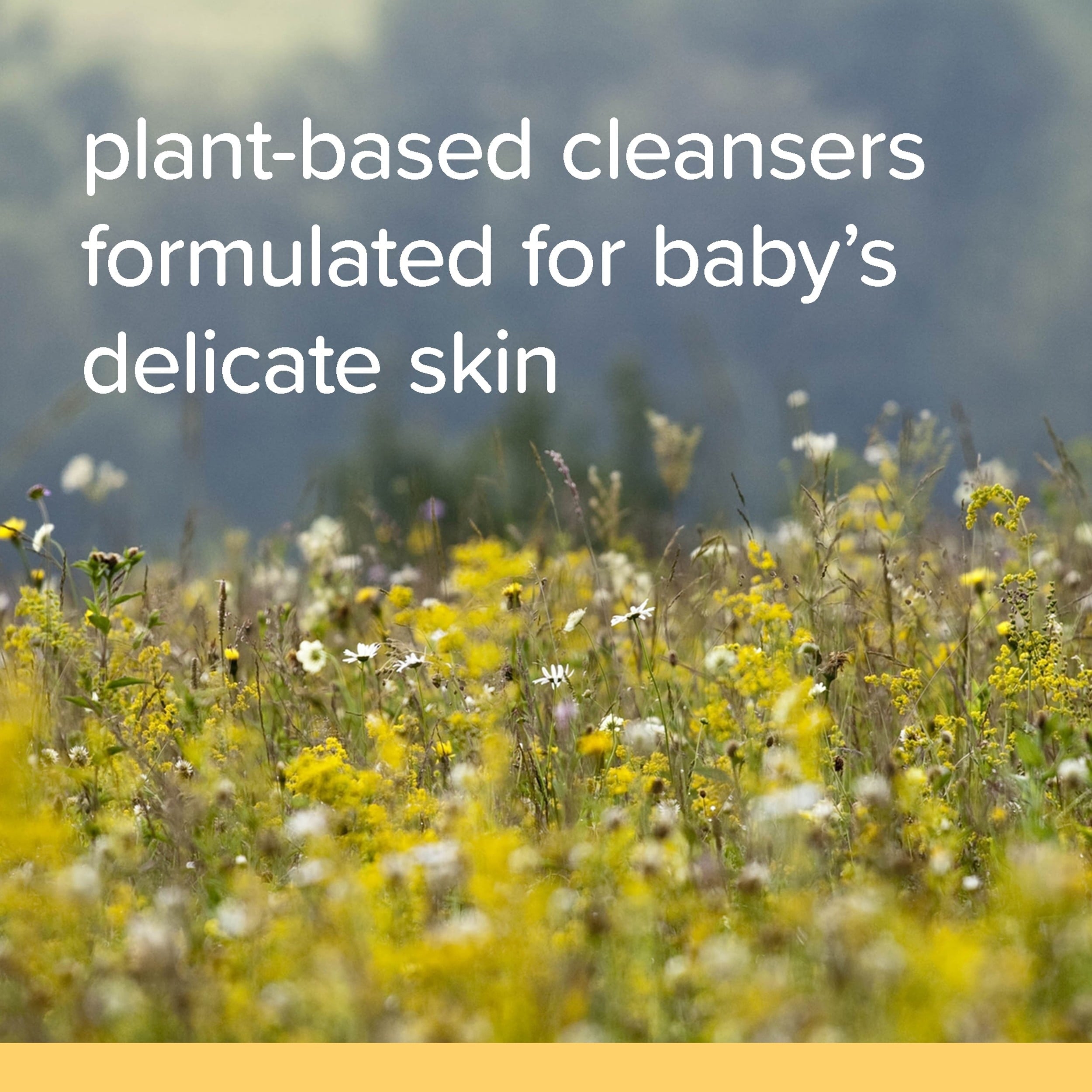 Burt's Bees Baby Shampoo & Wash Original 12 fl oz