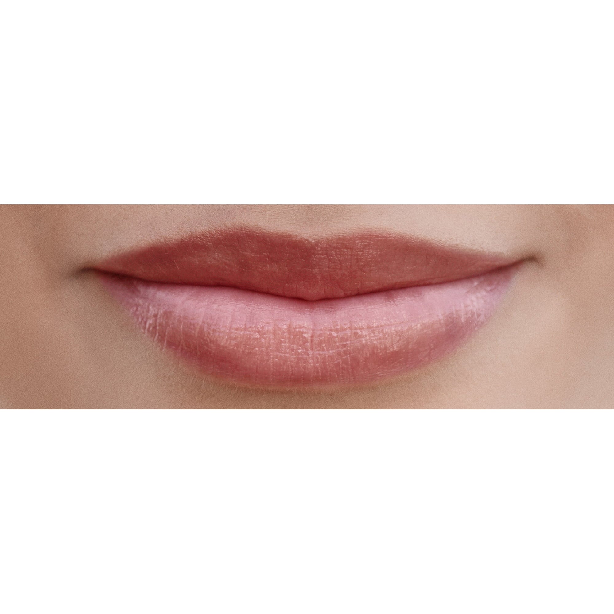 Burt's Bees 100% Natural Tinted Lip Balm, Hibiscus with Shea Butter & Botanical Waxes - 1 Tube