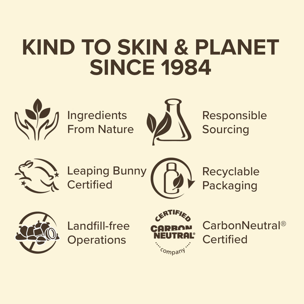 Burt's Bees 100% Natural Origin Moisturizing Lip Balm, Vanilla Bean, 1 Tube in Blister Box