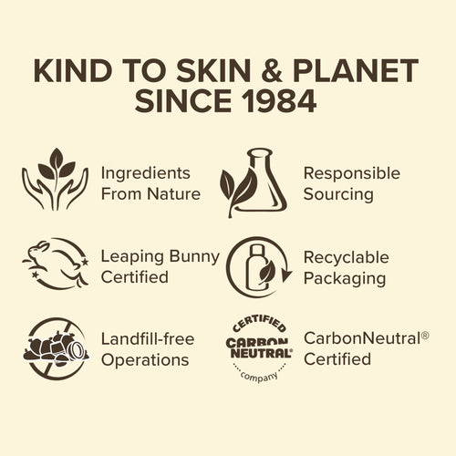 Burt's Bees 100% Natural Origin Moisturizing Lip Balm, Vanilla Bean, 1 Tube in Blister Box