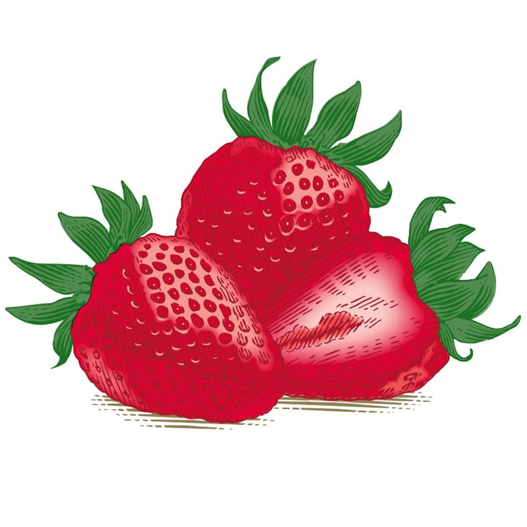 Burt's Bees - Moisturizing Lip Balm Pack Strawberry - 2 Tubes
