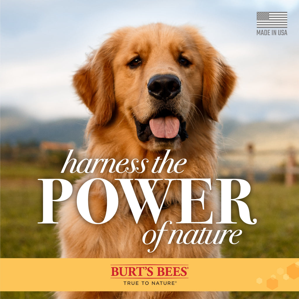 Burt's Bees For Dogs Hypoallergenic Multipurpose Wipes 50 Ct.