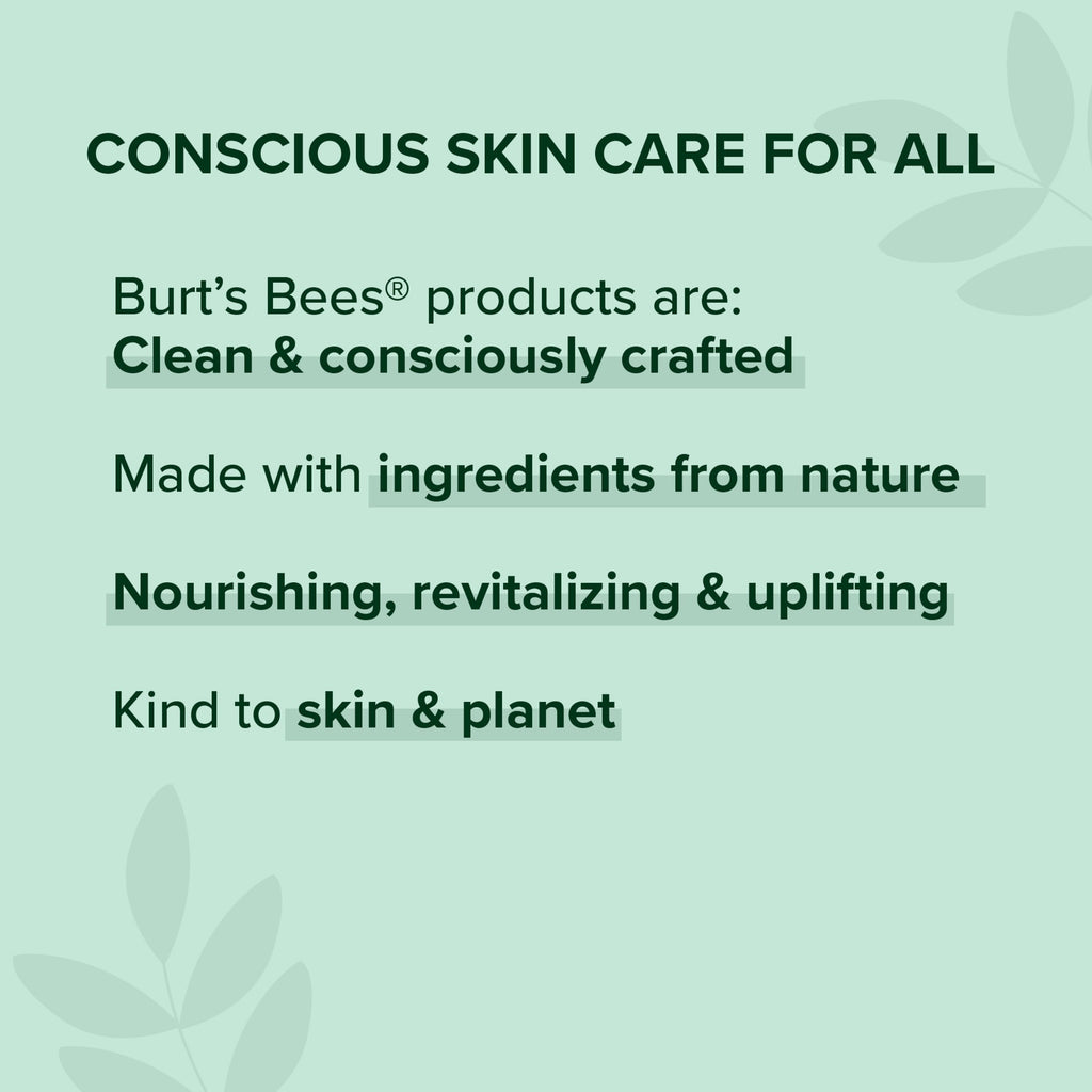 Burt's Bees 100% Natural Origin Moisturizing Lip Balm, Vanilla Bean, 1 Tube in Blister Box