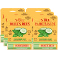 Burt's Bees Cucumber Mint Moisturizing Lip Balm, 100% Natural Origin, 6 Tubes, 0.15 oz