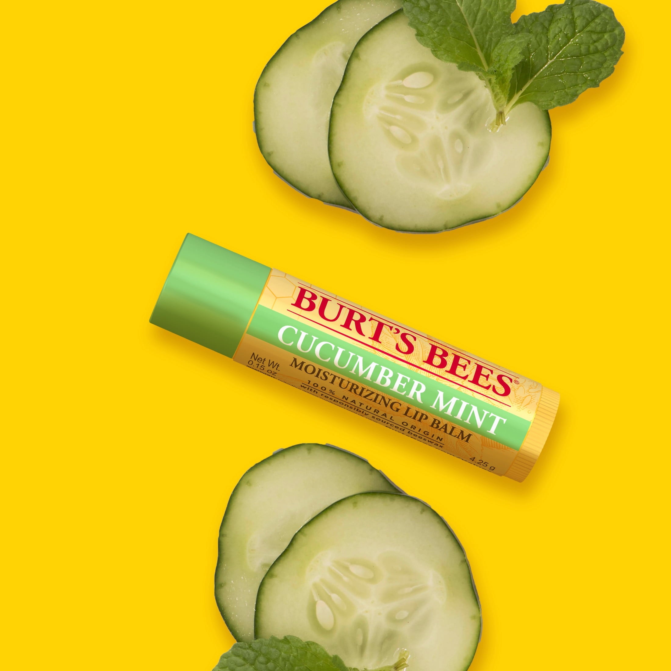 Burt's Bees Cucumber Mint Moisturizing Lip Balm, 100% Natural Origin, 6 Tubes, 0.15 oz