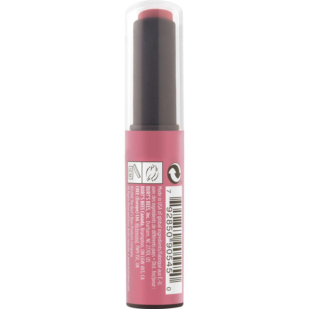 Burts Bees 100% Natural Origin Matte Stick - Rhubarb Rapids, 1 Tube