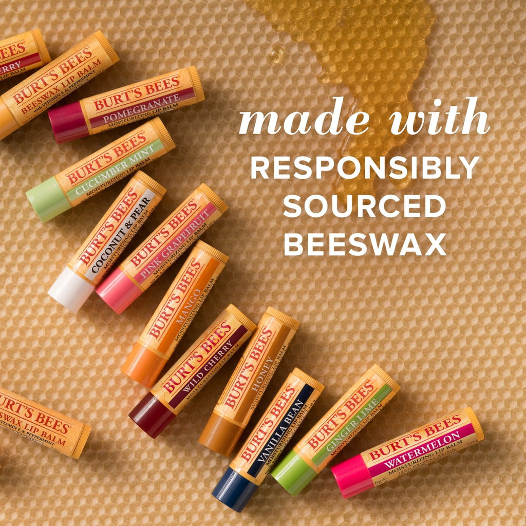 Burt's Bees 100% Natural Moisturizing Lip Balm, Vanilla Bean, 2 Count