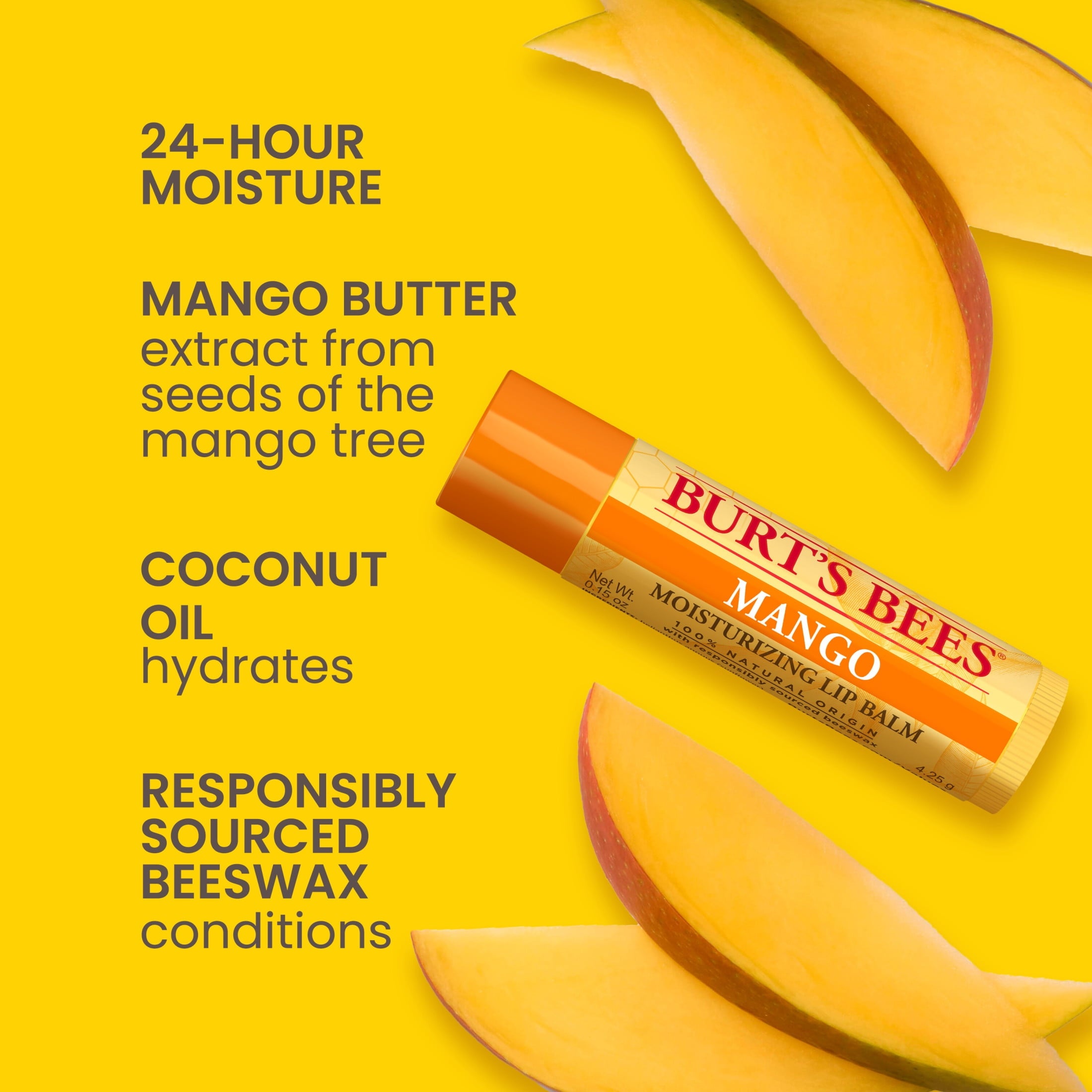 Burt's Bees 100% Natural Origin Moisturizing Lip Balm, Mango, 2 Count, Pack of 6