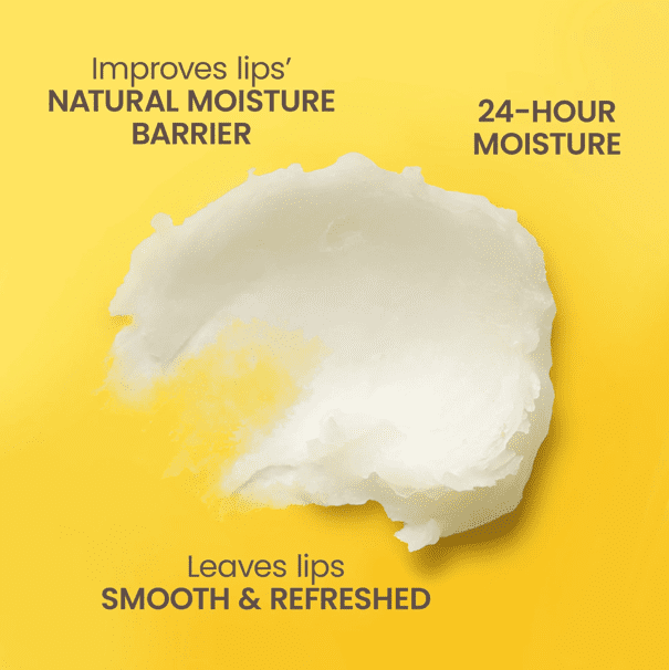 Burt's Bees Moisturizing Lip Balm Value Pack, Lavender Vanilla & Sweet Peach, 4 Count (Pack of 2 Value Packs)