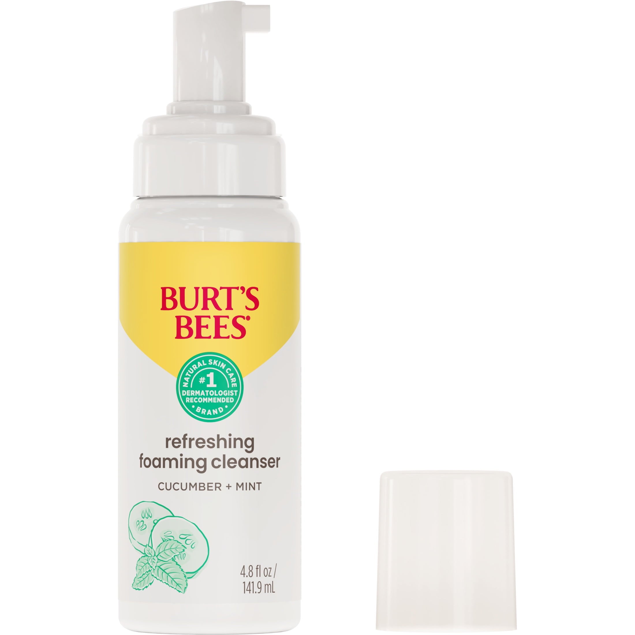 Burt's Bees Gentle Foam Cleanser, Normal to Combination Skin, 4.8 oz