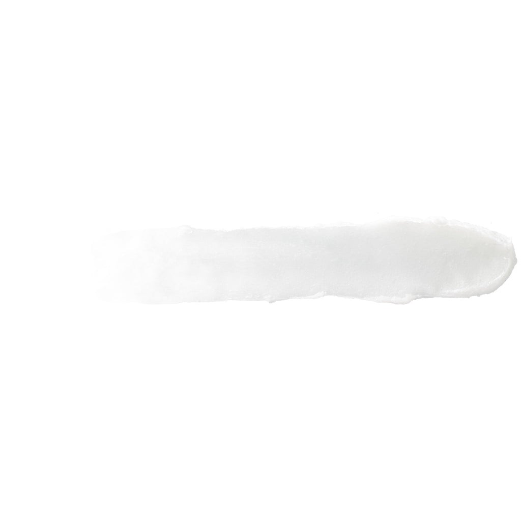 Burt's Bees 100% Natural Origin Moisturizing Lip Balm, Vanilla Bean, 1 Tube in Blister Box