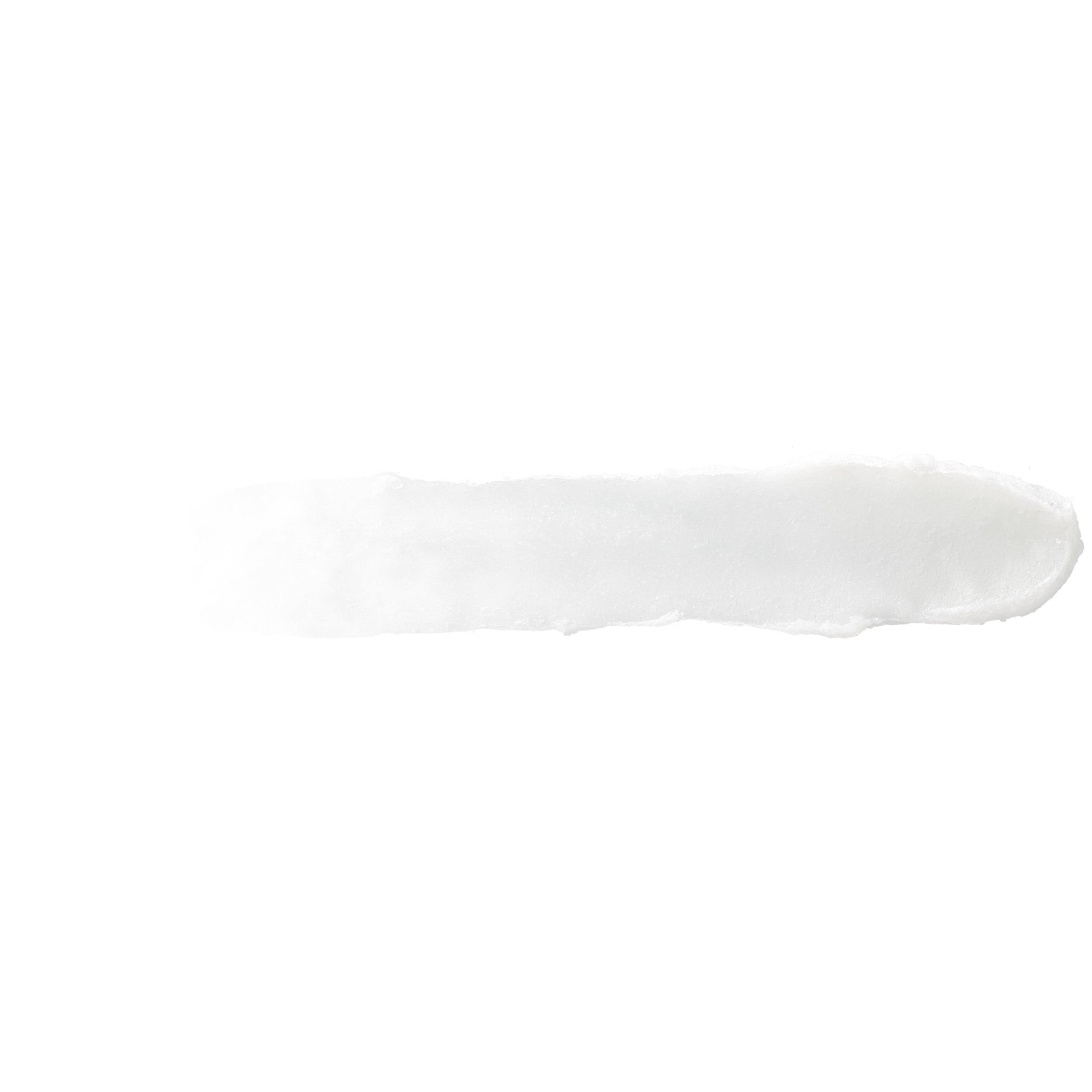 Burt's Bees 100% Natural Origin Moisturizing Lip Balm, Vanilla Bean, 1 Tube in Blister Box