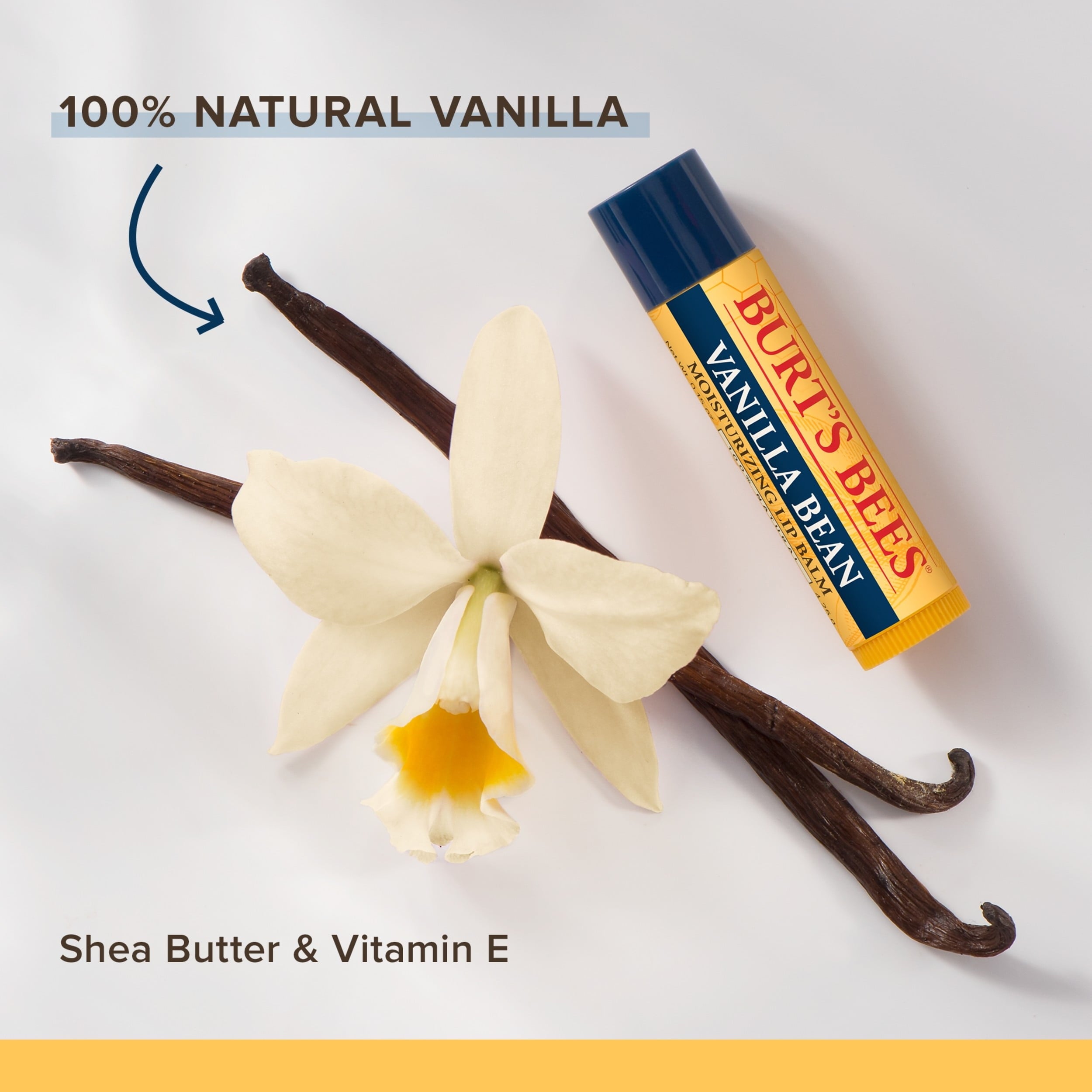 Burt's Bees 100% Natural Origin Moisturizing Lip Balm, Vanilla Bean, 1 Tube in Blister Box