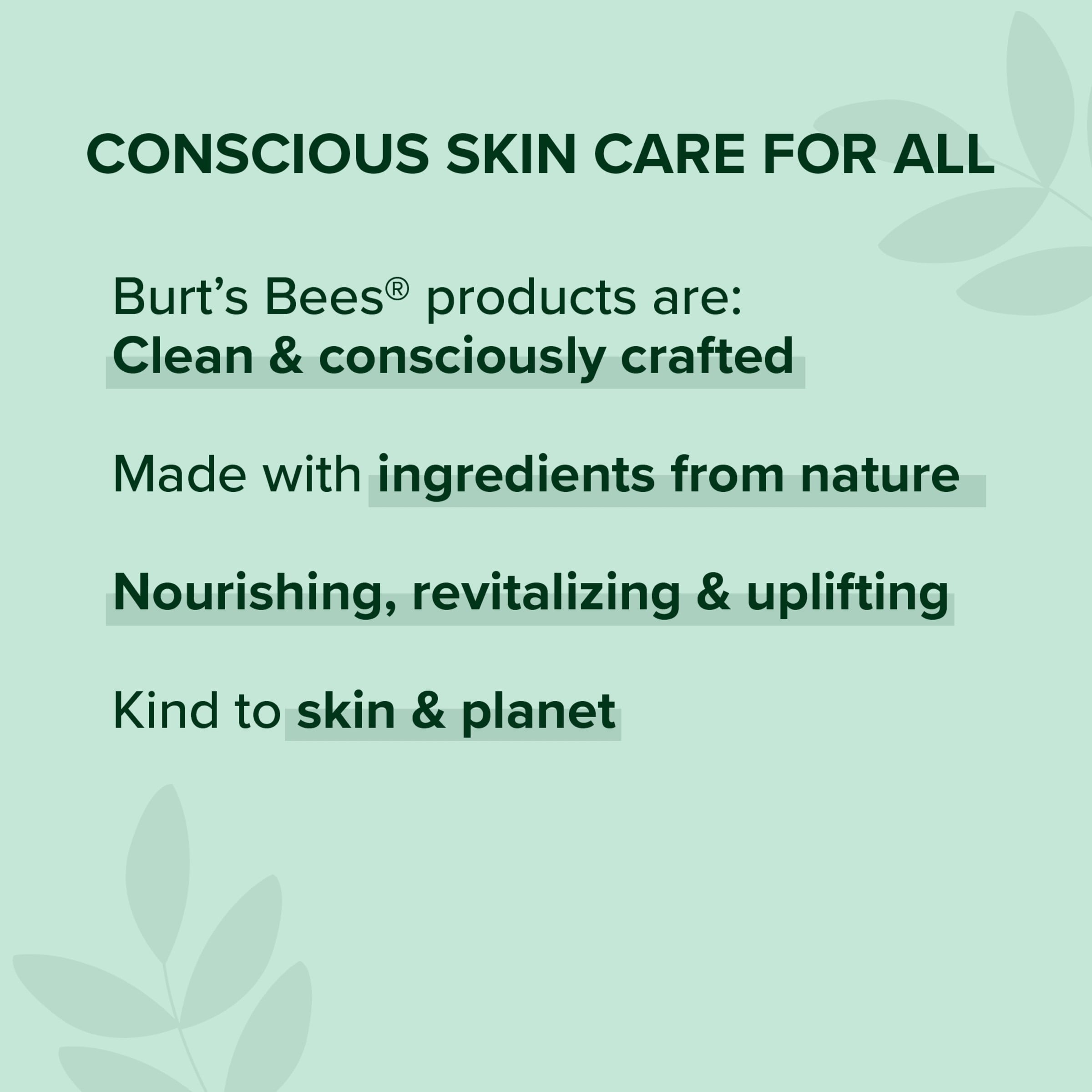 Burt's Bees 100% Natural Origin Lip Butter With Moisturizing Shea And Cocoa Butters, Wild Rose and Berry, 1 Tin In Blister Box