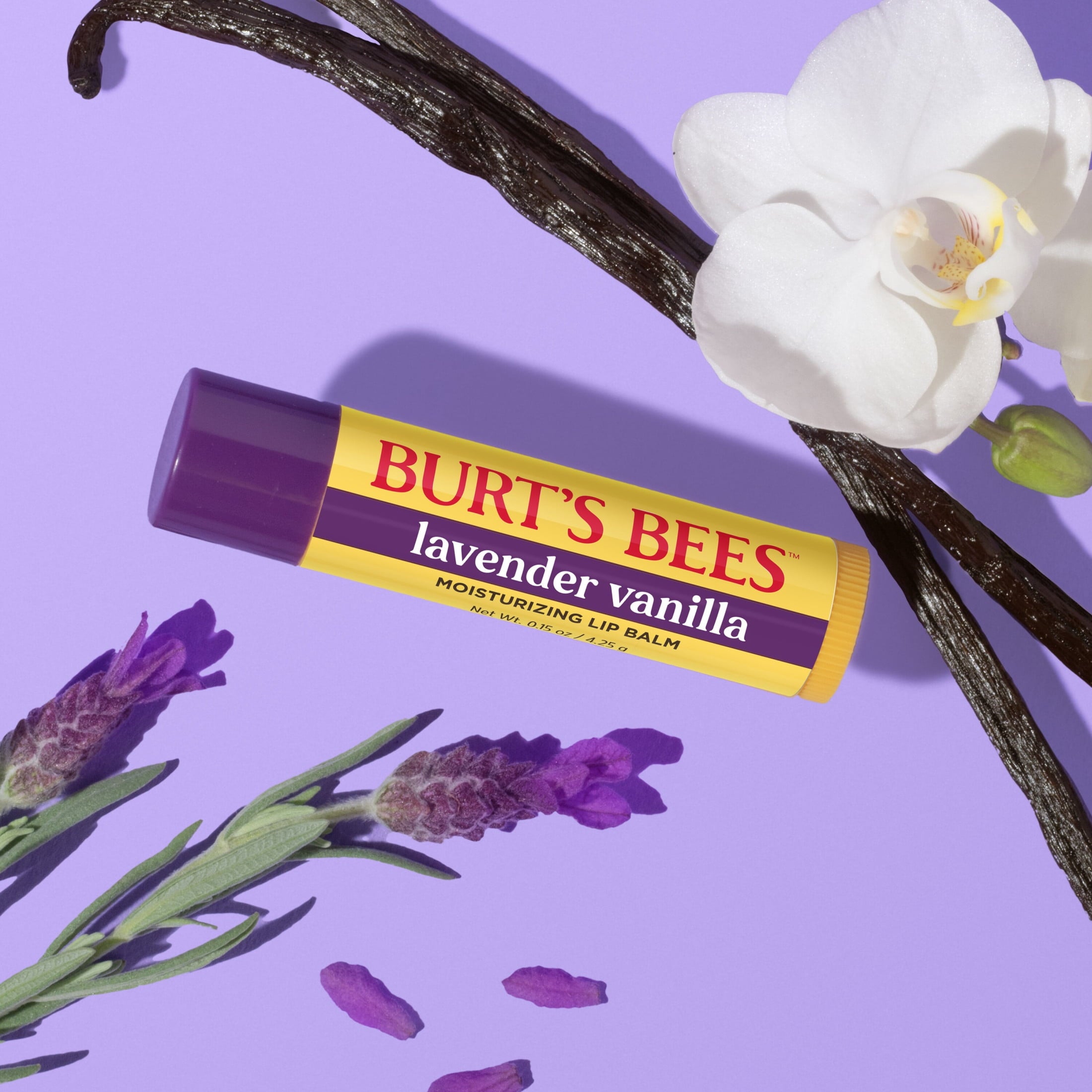 Burt's Bees Lavender Vanilla Moisturizing Lip Balm, 100% Natural Origin, Mother's Day Gift, 1 Tube, 0.15 oz
